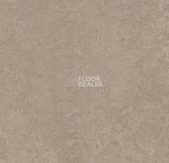 Линолеум Forbo Marmoleum Decibel on Order 325235 sparrow фото 1 | FLOORDEALER